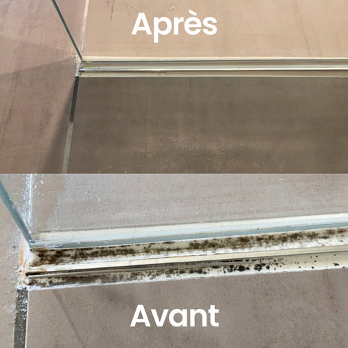 Kit Anti-Moisissure Extreme Pro