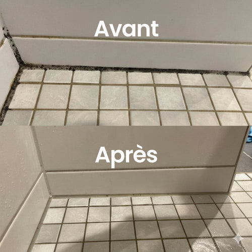 Kit Anti-Moisissure Extreme Pro